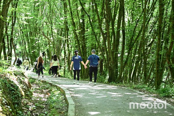 Gaziosmanpaşa’da Doğaseverler Polonezköy’de Buluştu