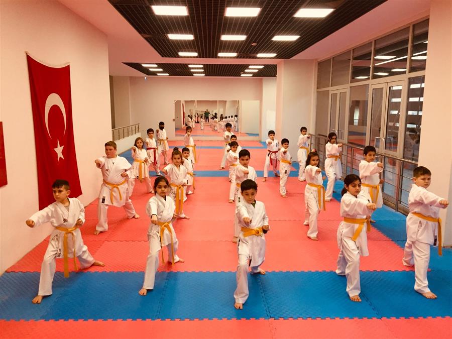 Dr. Kadir Topba Gsm Karate Ders Foto