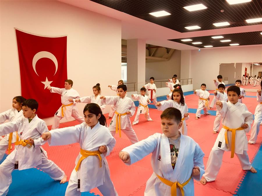 Dr. Kadir Topba Gsm Karate Ders Foto